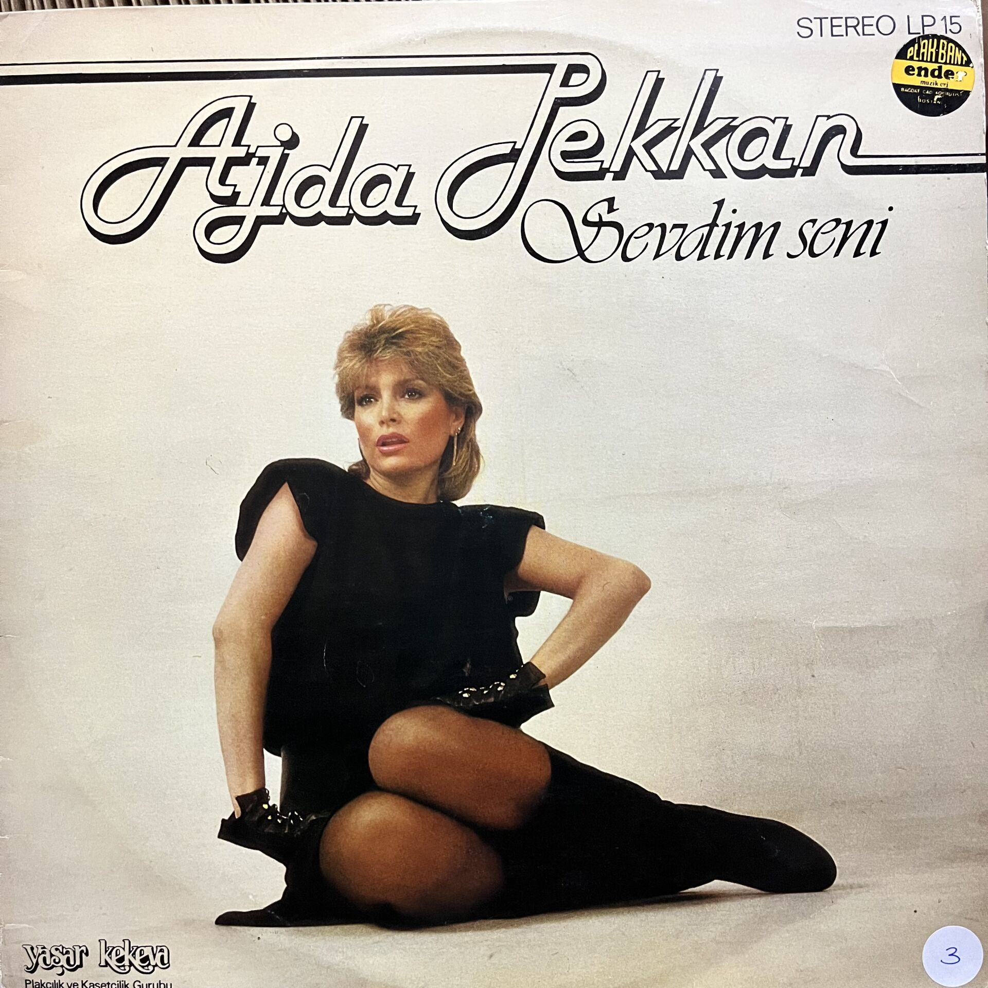 AJDA PEKKAN SEVDİM SENİ