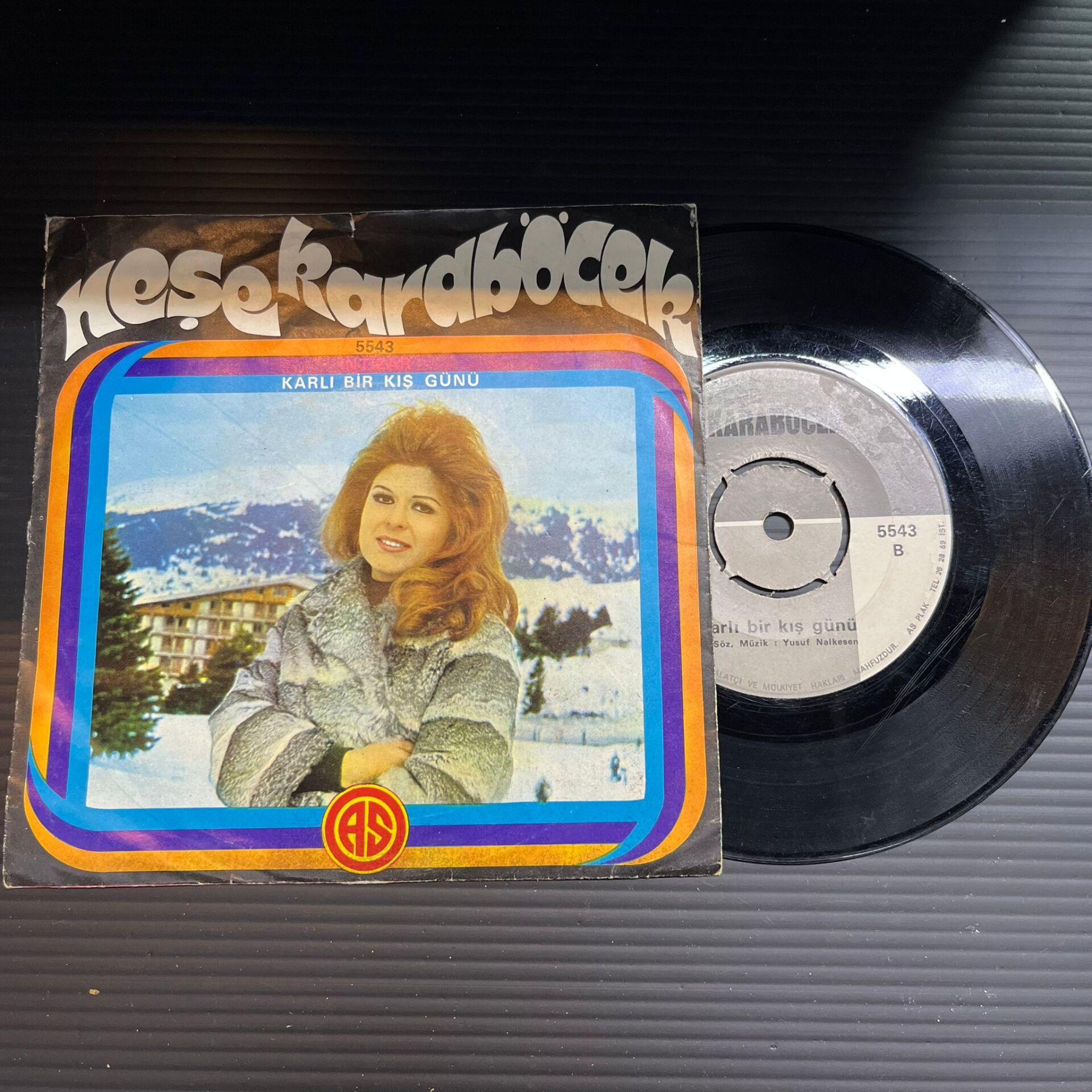 Neşe Karaböcek – İntizar / Karlı Bir Kış Günü