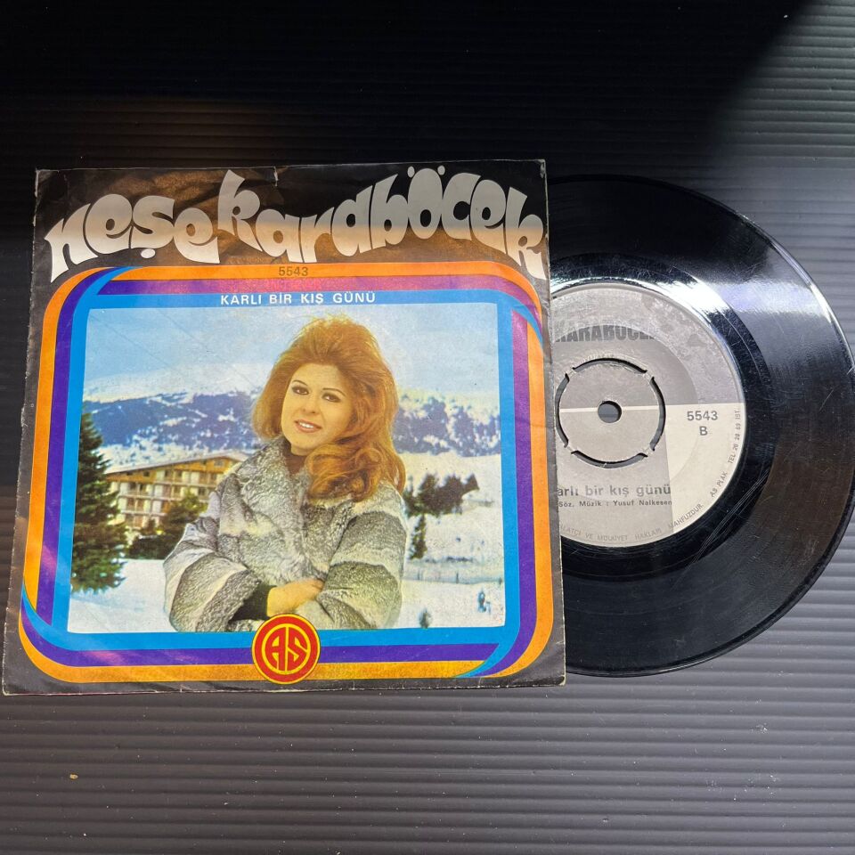 Neşe Karaböcek – İntizar / Karlı Bir Kış Günü