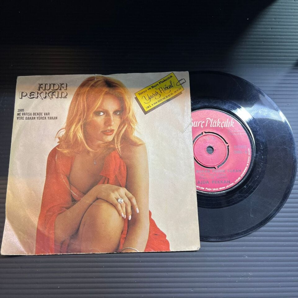 Ajda Pekkan – Ne Varsa Bende Var / Yere Bakan Yürek Yakan