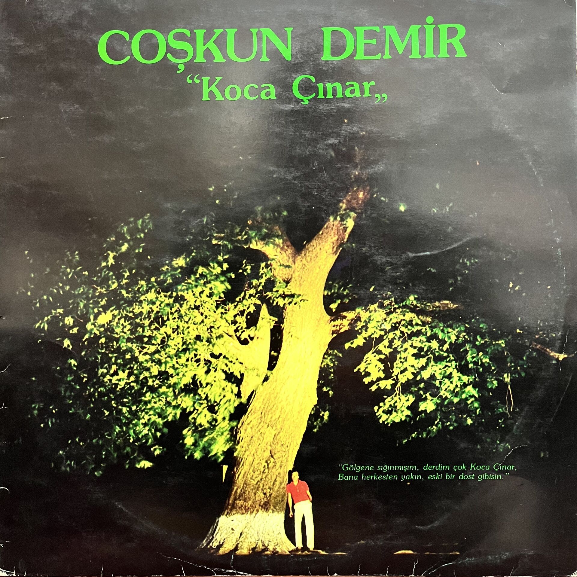 Coşkun Demir – Koca Çınar