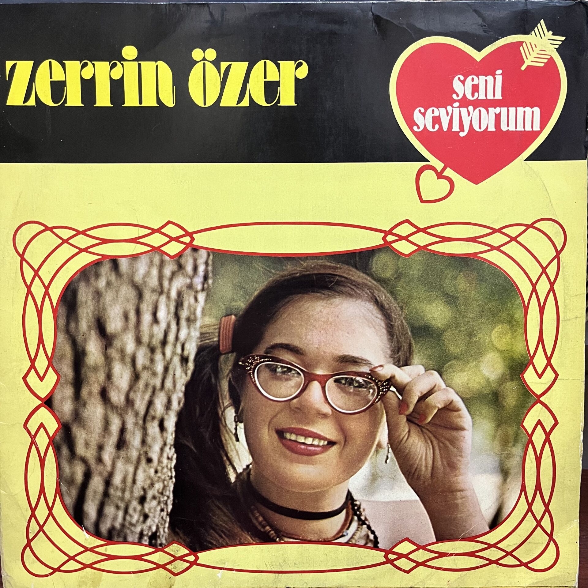 ZERRİN ÖZER -  SENİ SEVİYORUM