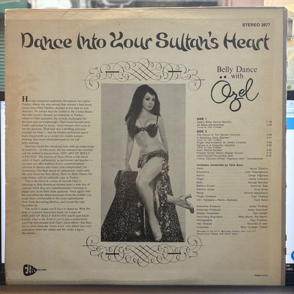 Özel* – Dance Into Your Sultan's Heart