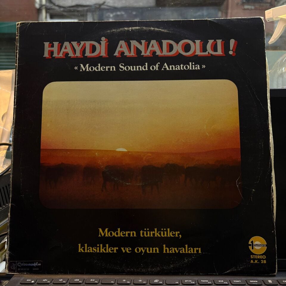 Haydi Anadolu ! (Modern Sound Of Anatolia / Modern Türküler, Klasikler ve Oyun Havaları)