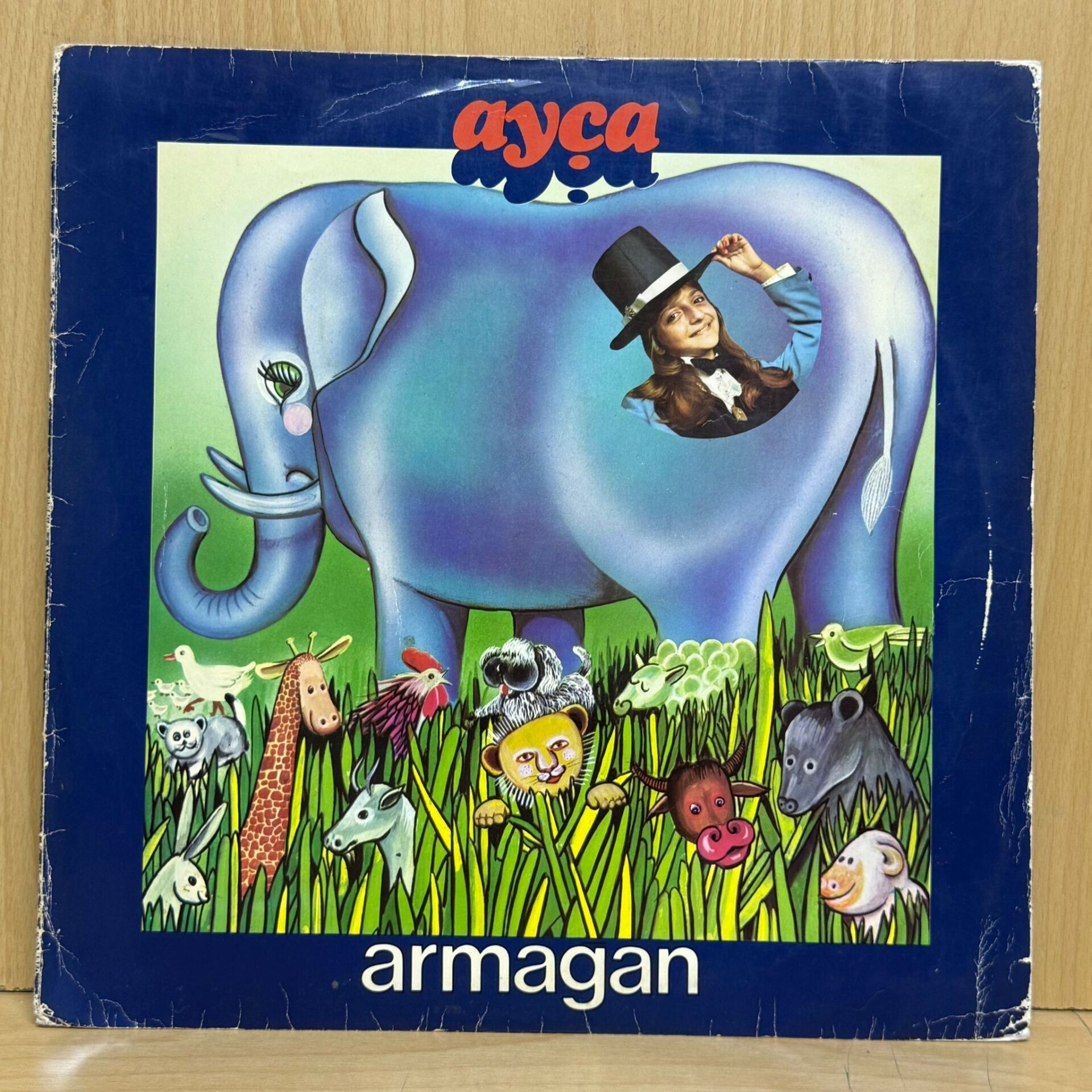 Ayça (2) – Armağan