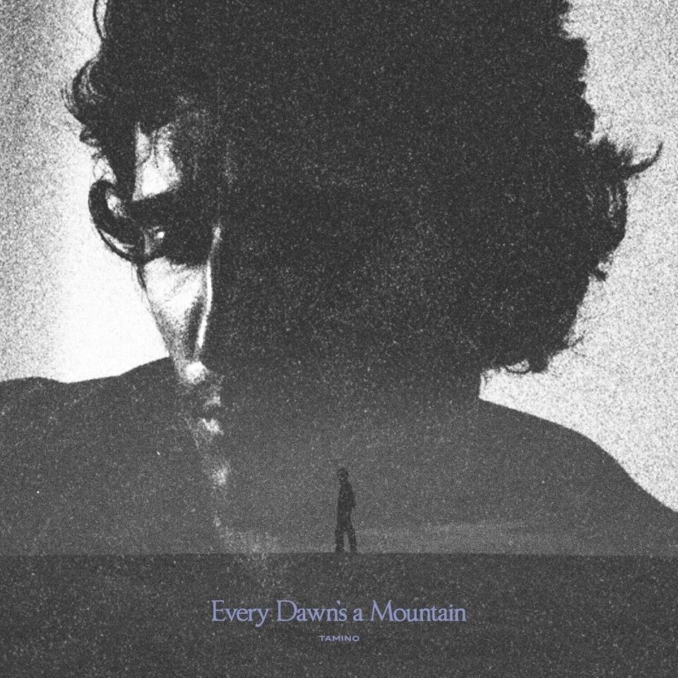 Tamino - Every Dawn's A Mountain Black Silver Plak