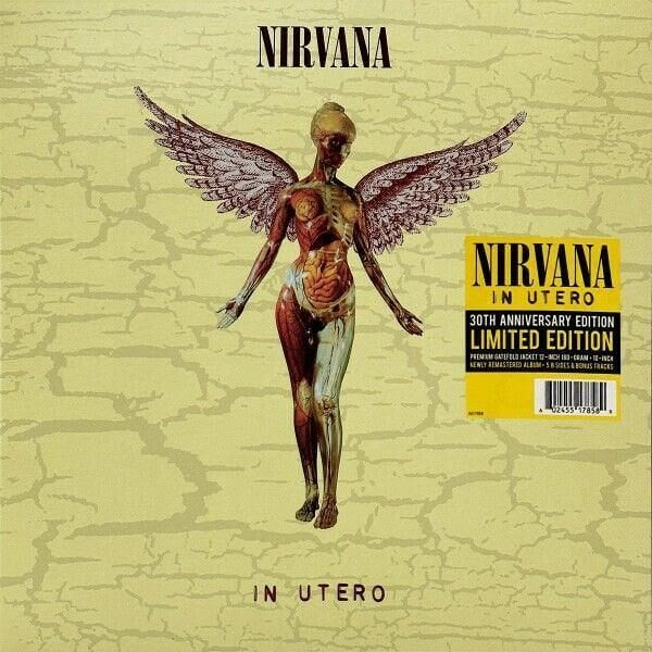 Nirvana – In Utero 2'li Plak (2023, 30th Anniversary)