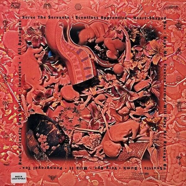 Nirvana – In Utero 2'li Plak (2023, 30th Anniversary)
