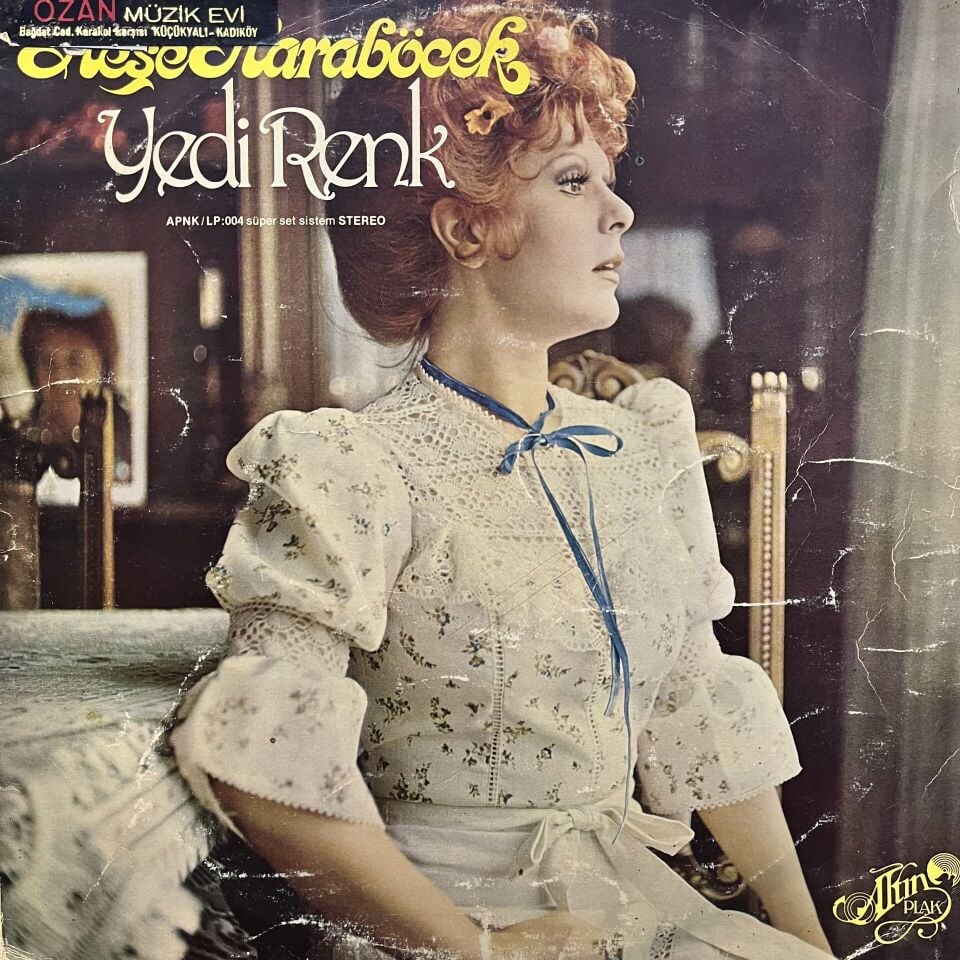 Neşe Karaböcek – Yedi Renk