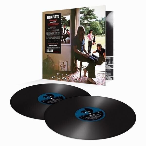 Pink Floyd - Ummagumma 2'li Plak