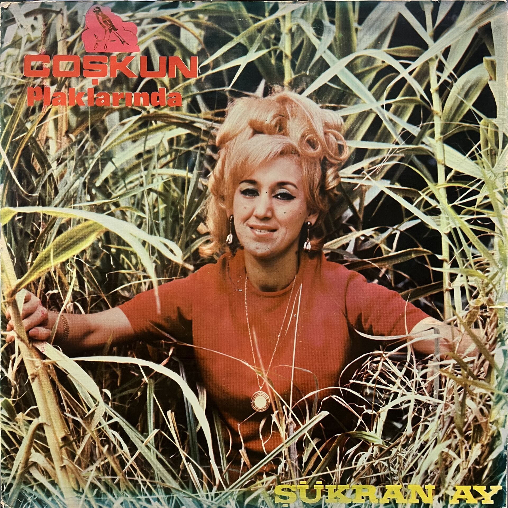 Şükran Ay – Ağlatan Plak