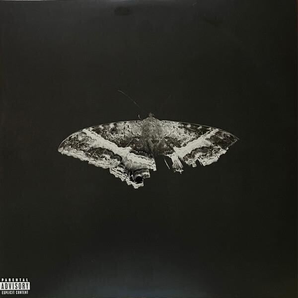 Kendrick Lamar - To Pimp A Butterfly 2'li Plak