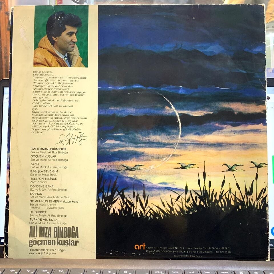 Ali Rıza Binboğa –Göçmen Kuşlar