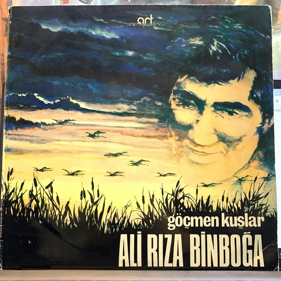 Ali Rıza Binboğa –Göçmen Kuşlar
