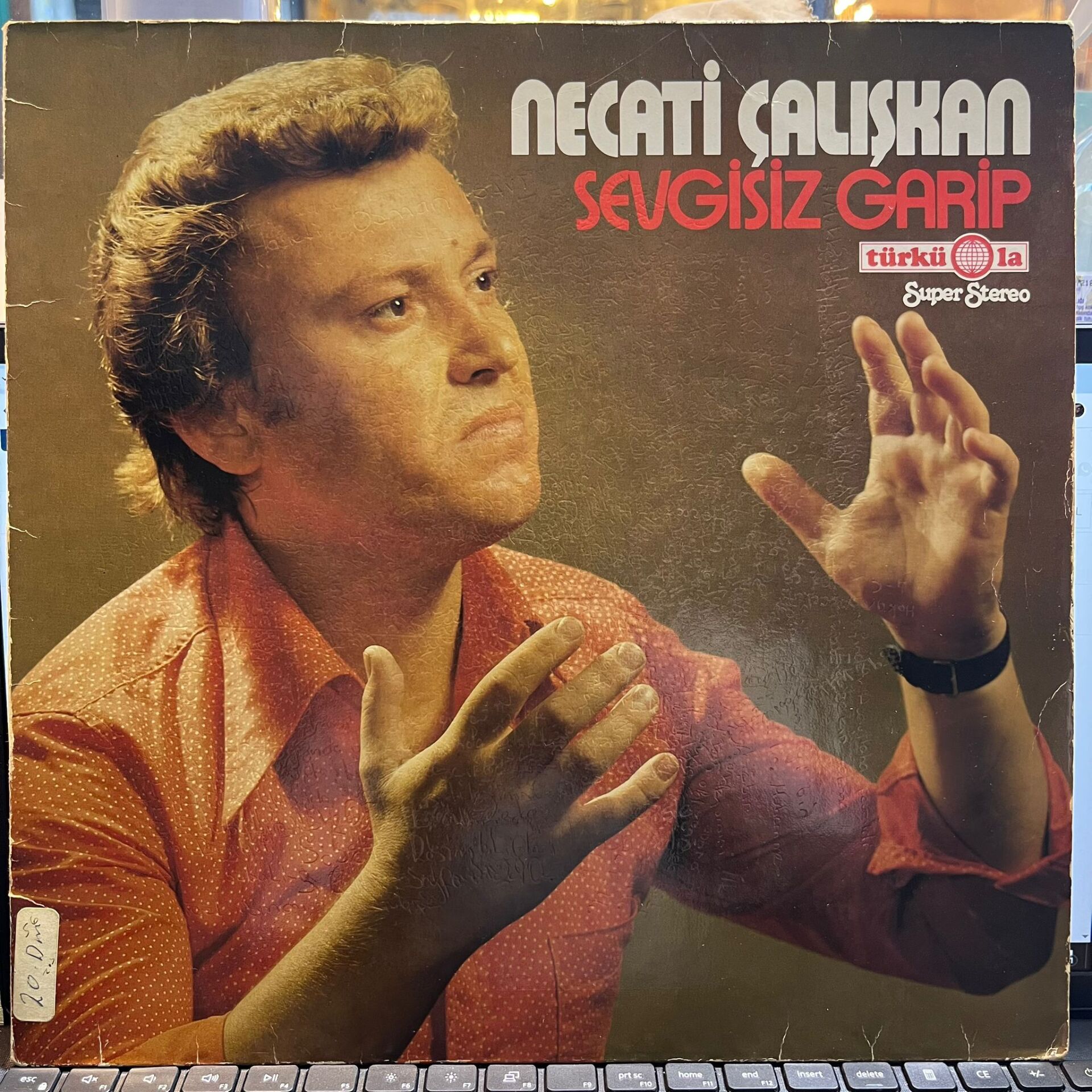 Necati Çalışkan – Sevgisiz Garip