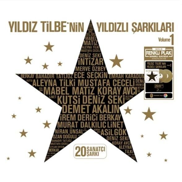 Yıldız Tilbe'nin Yıldızlı Şarkıları 1 Renkli 2'li Plak