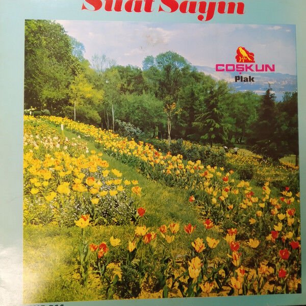 Suat Sayın – Suat Sayın