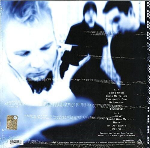 Evanescence - Fallen Plak
