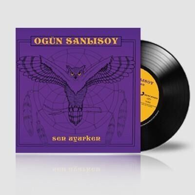 Ogün Şanlısoy - Sen Uyurken Plak