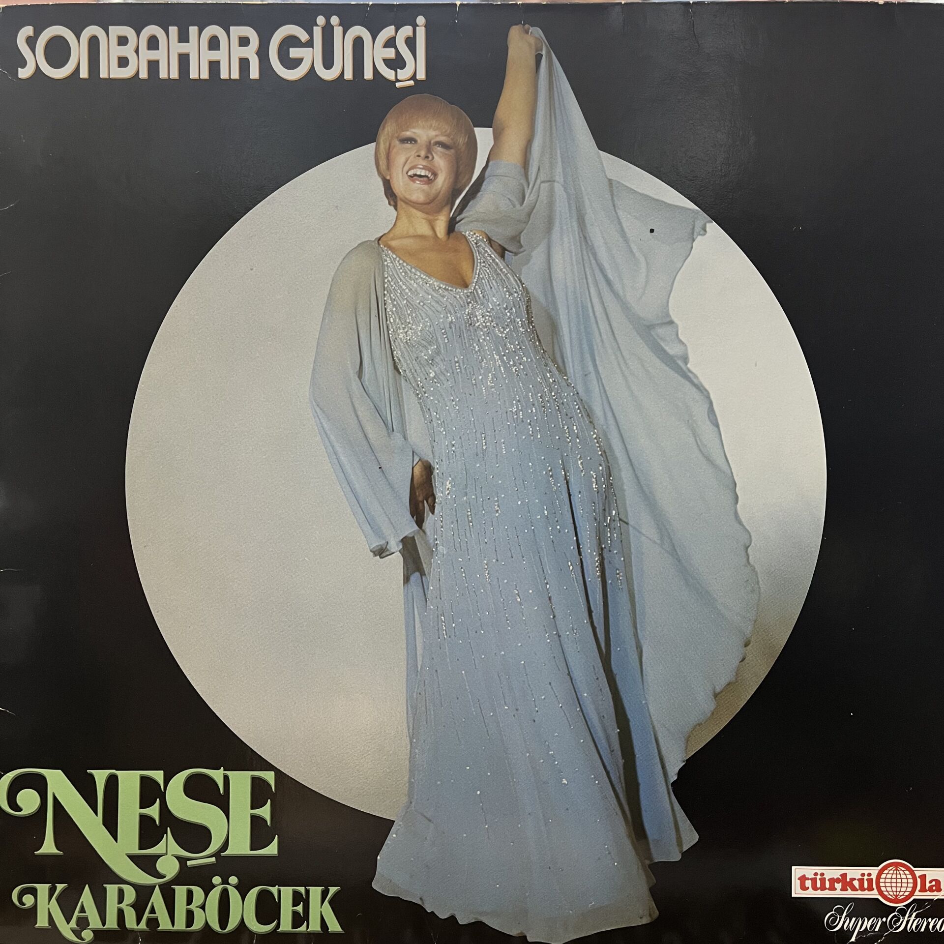 Neşe Karaböcek – Sonbahar Güneşi