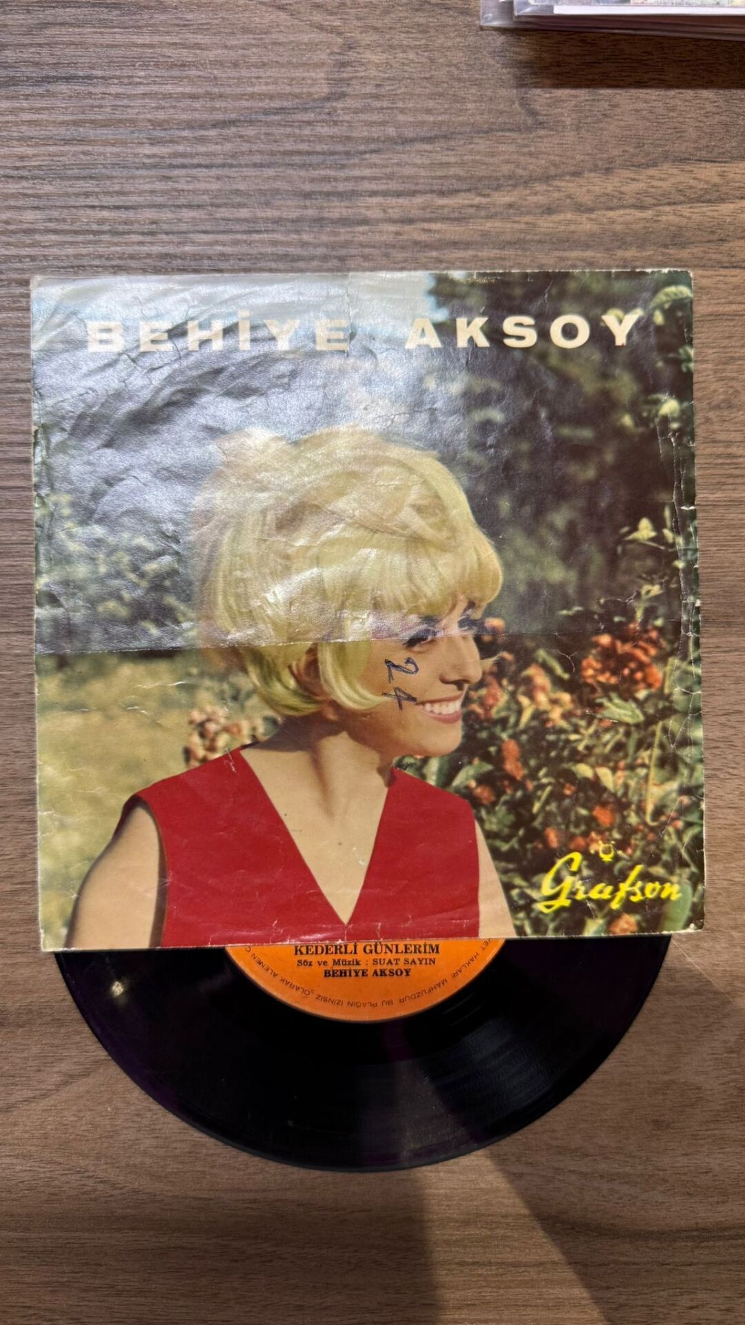 Behiye Aksoy – Bülbülün Çilesi / Kederli Günlerim