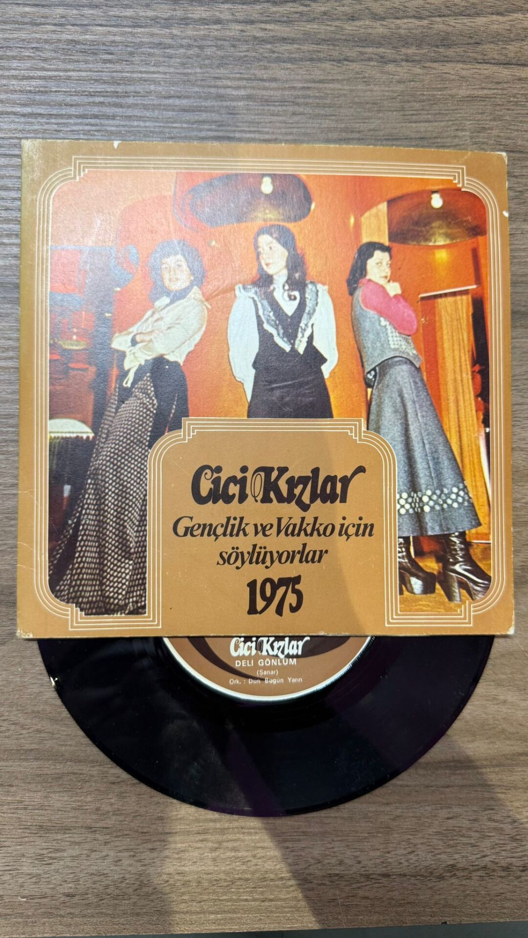Cici Kızlar – Gençlik ve Vakko İçin Söylüyorlar 1975