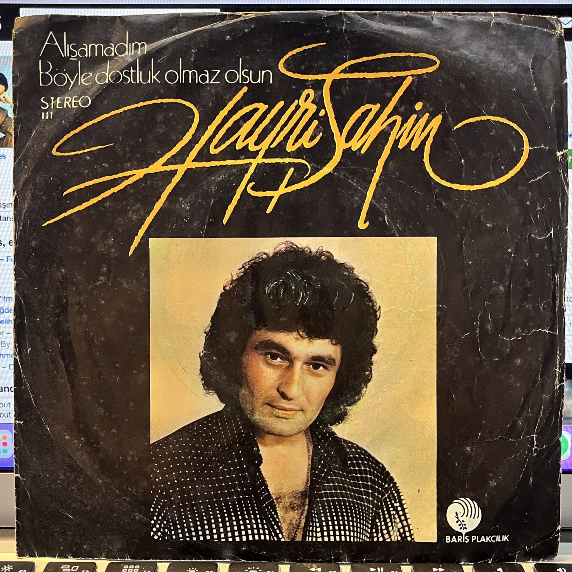Hayri Şahin – Alışamadım / Böyle Dostluk Olmaz Olsun