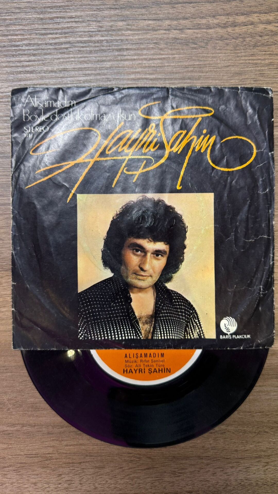 Hayri Şahin – Alışamadım / Böyle Dostluk Olmaz Olsun