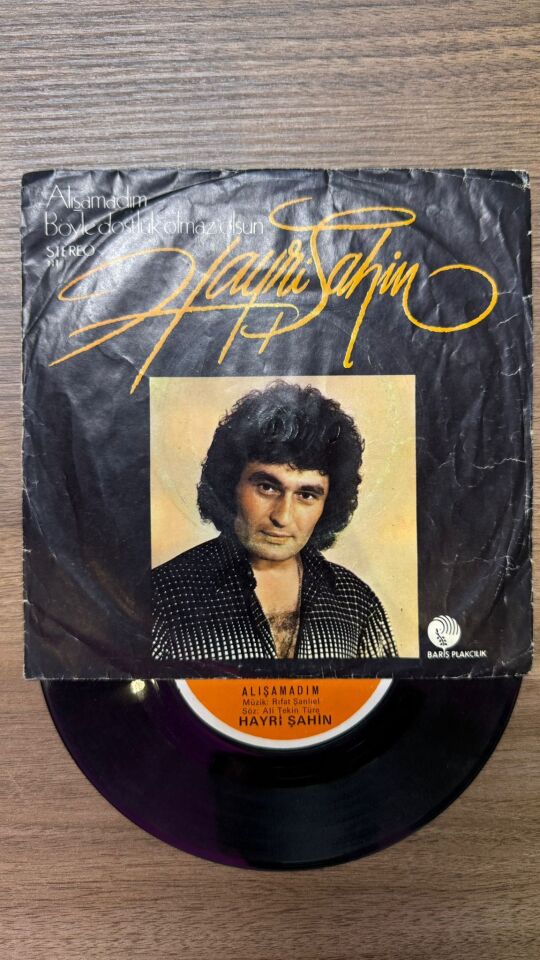 Hayri Şahin – Alışamadım / Böyle Dostluk Olmaz Olsun
