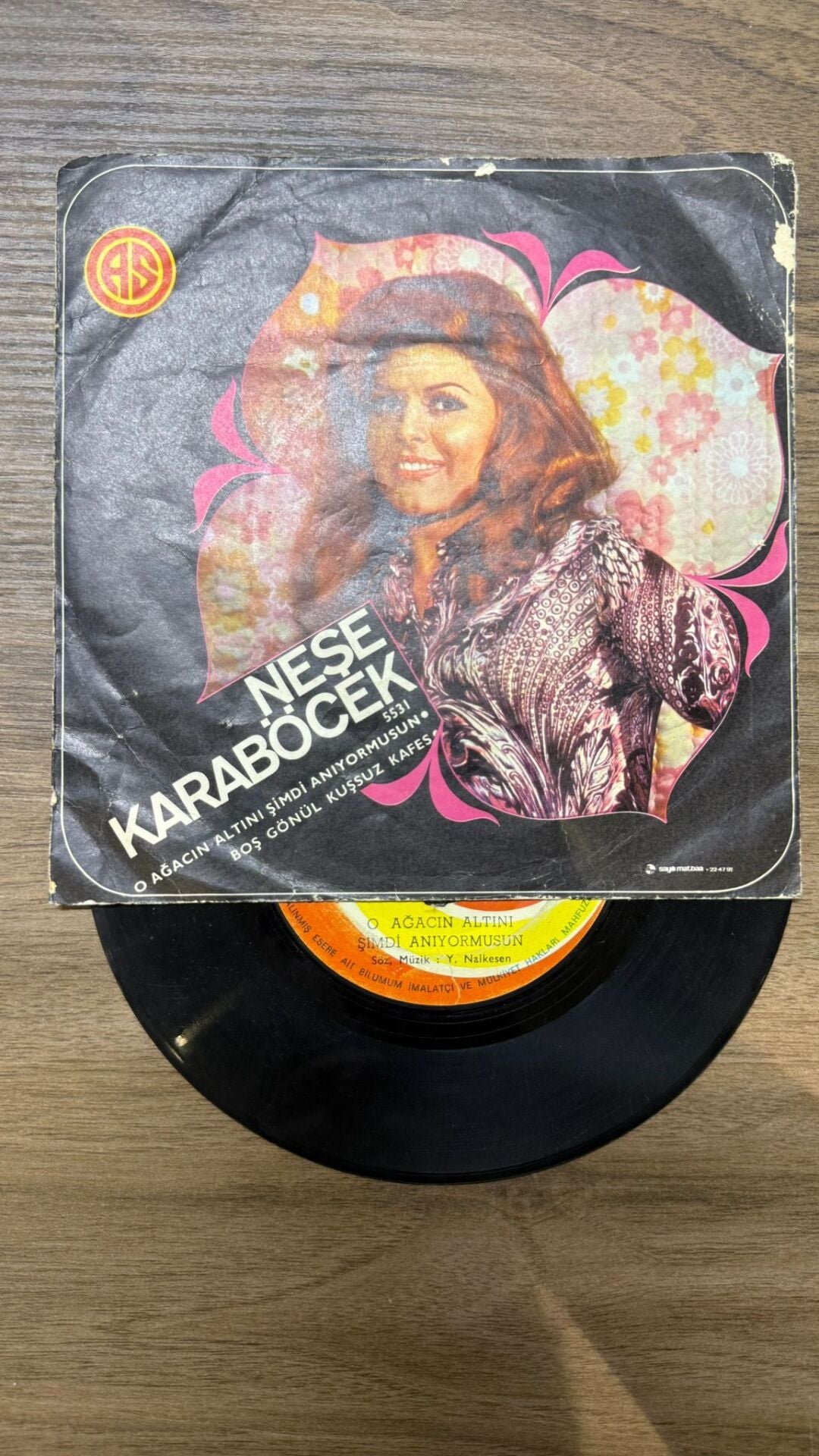 Neşe Karaböcek – O Ağacın Altını Şimdi Anıyor Musun / Boş Gönül Kuşsuz Kafes