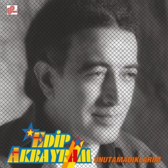 Edip Akbayram - Unutamadıklarım Plak