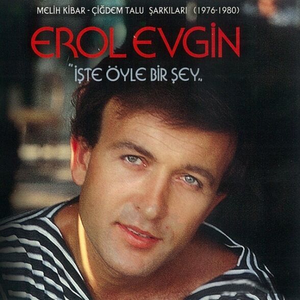 Erol Evgin - İşte Öyle Bir Şey Plak