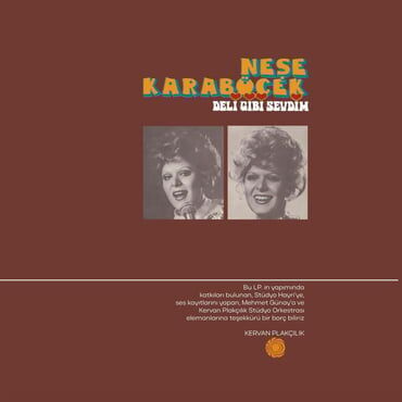 Neşe Karaböcek - Deli Gibi Sevdim Plak