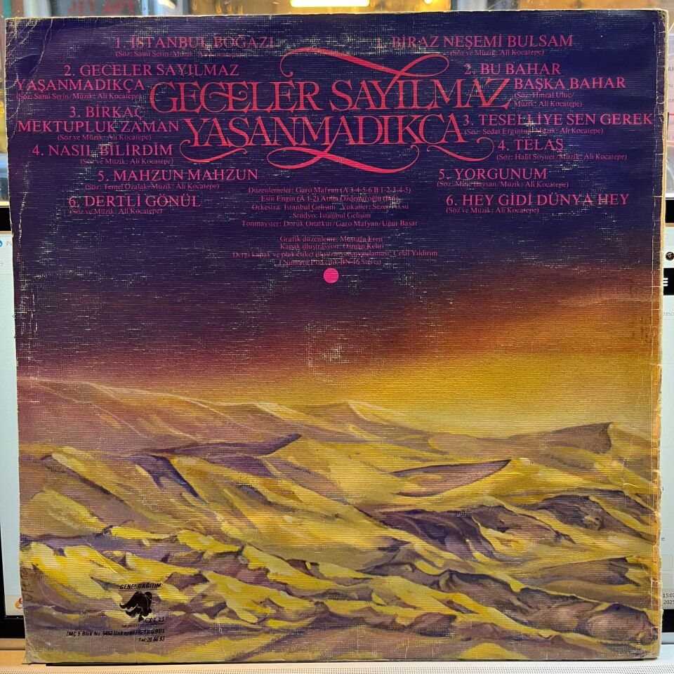 Ali Kocatepe – Geceler Sayılmaz Yaşanmadıkça