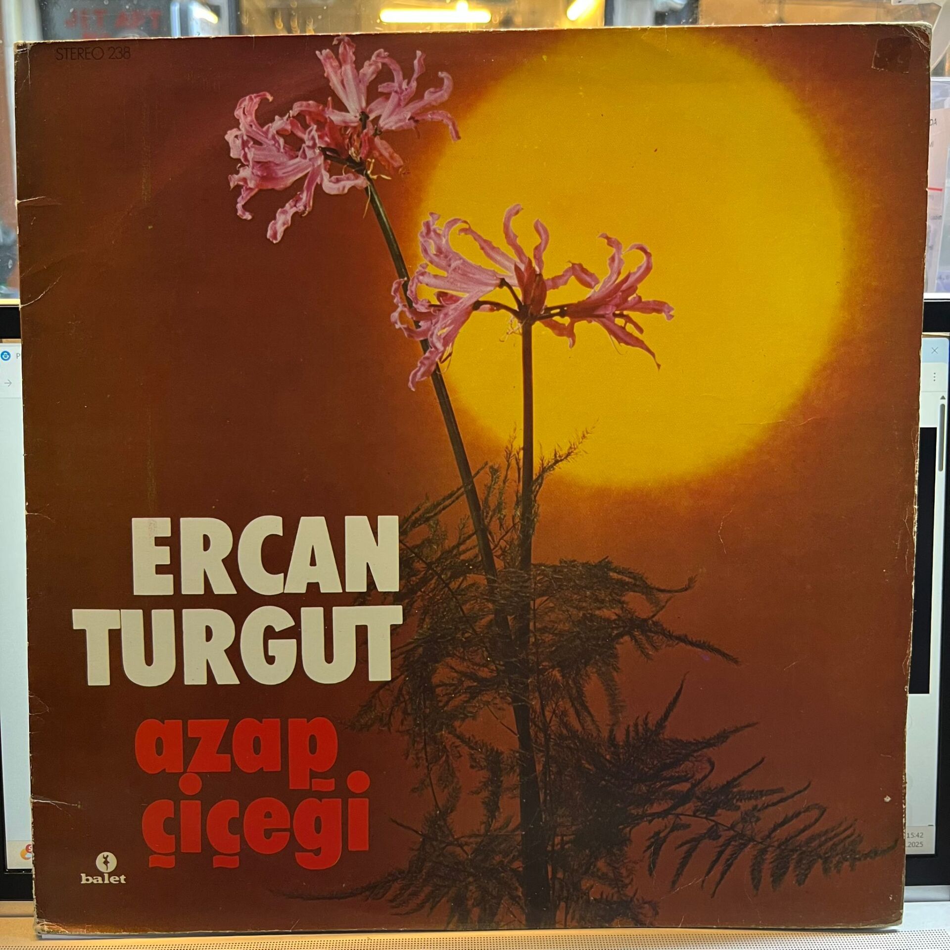 Ercan Turgut – Azap Çiçeği