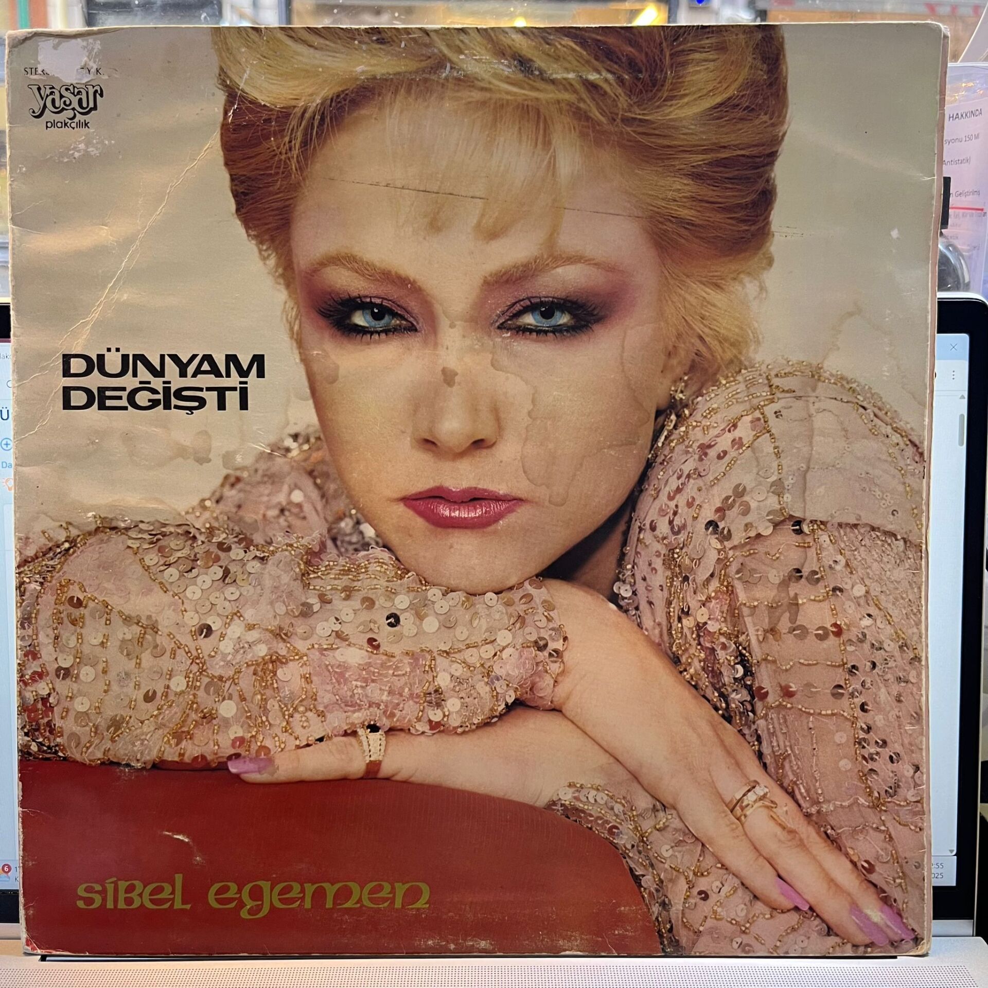 Sibel Egemen – Dünyam Değişti