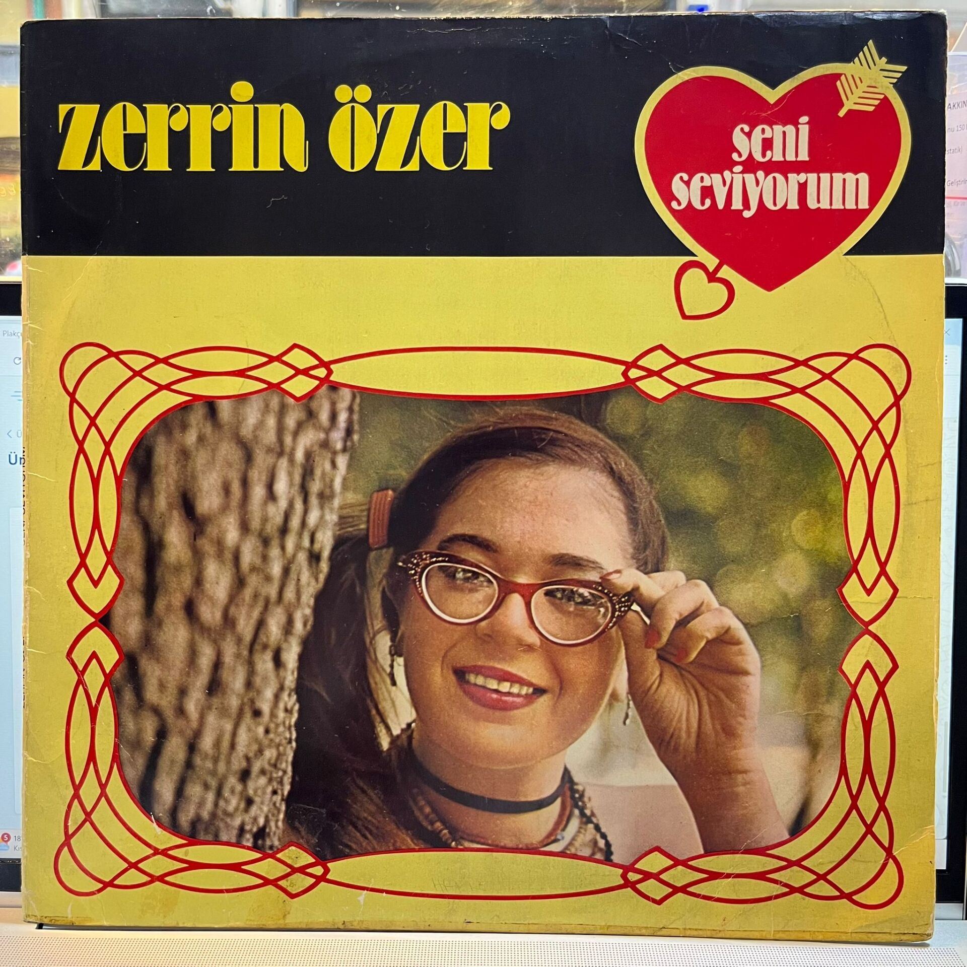 Zerrin Özer – Seni Seviyorum