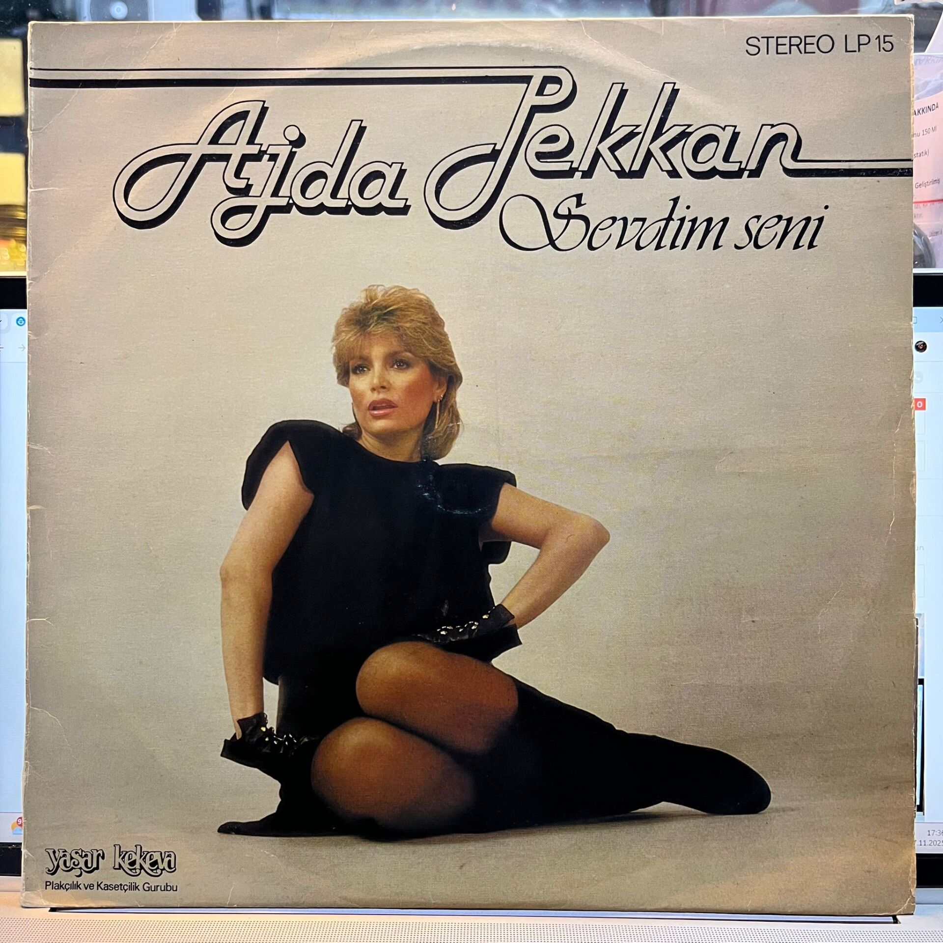 Ajda Pekkan – Sevdim Seni
