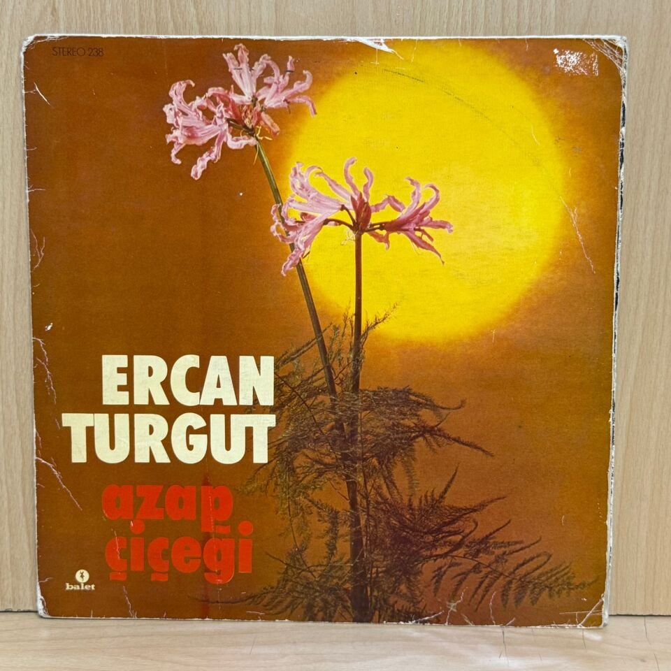 Ercan Turgut – Azap Çiçeği