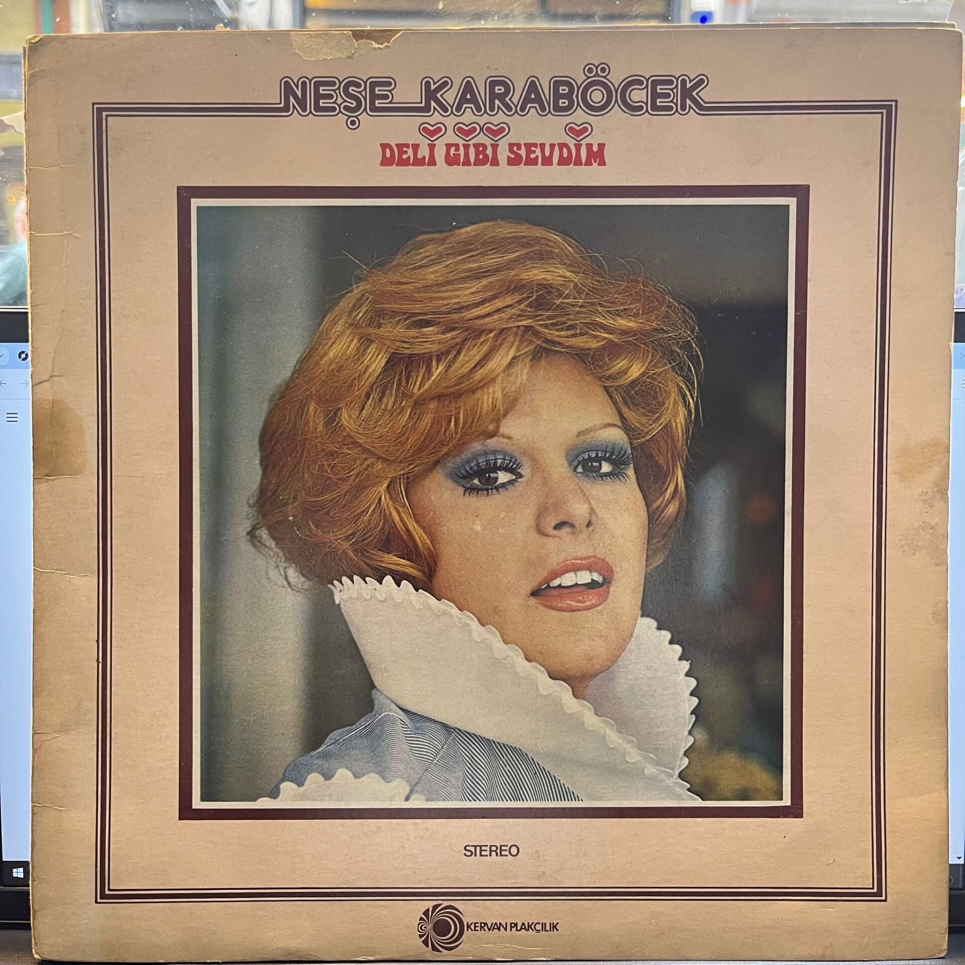 Neşe Karaböcek – Deli Gibi Sevdim
