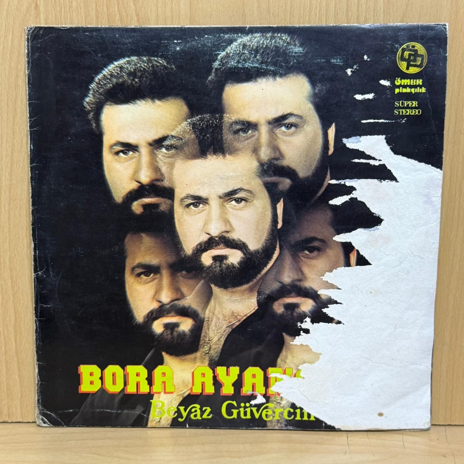 Bora Ayanoğlu – Beyaz Güvercin