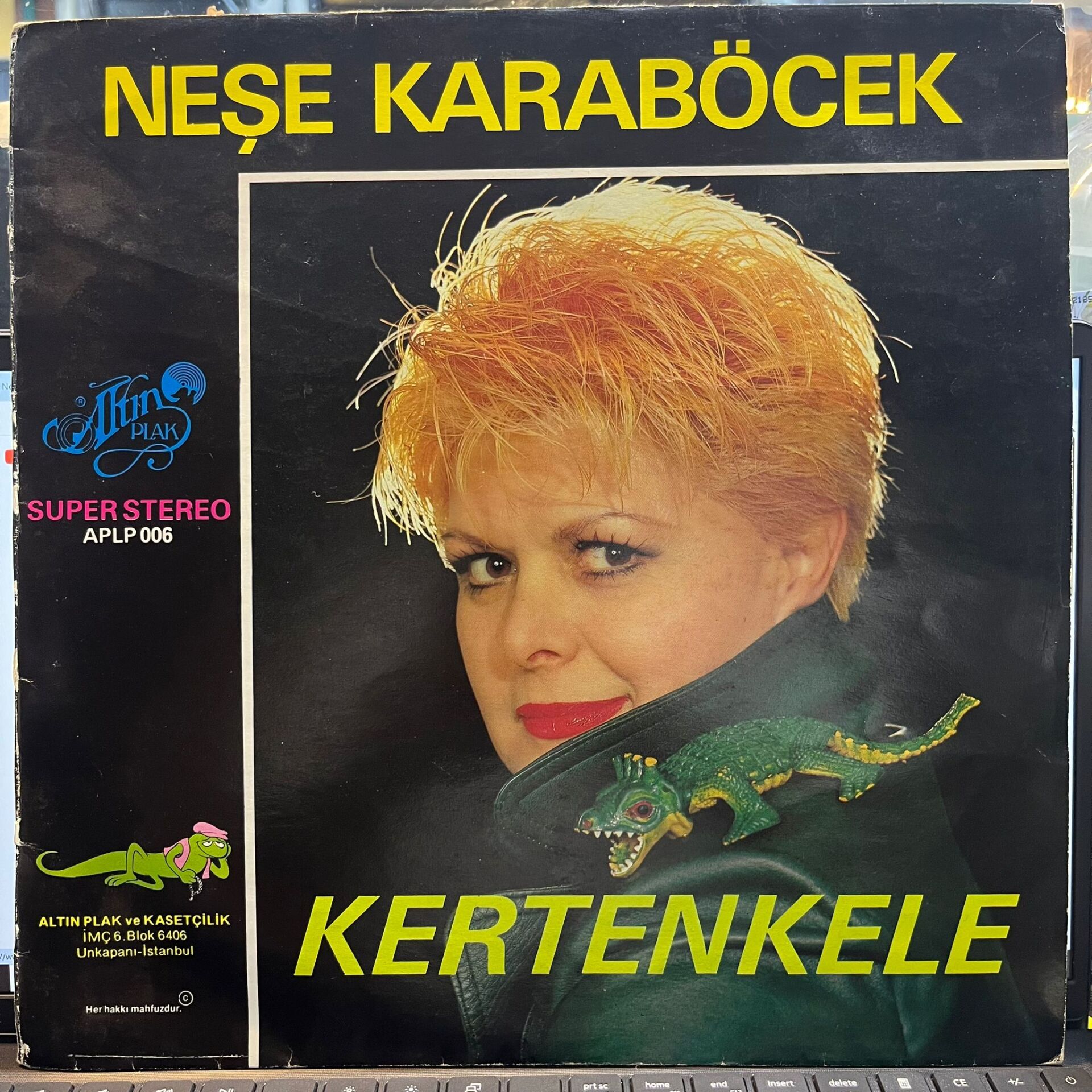 Neşe Karaböcek – Kertenkele