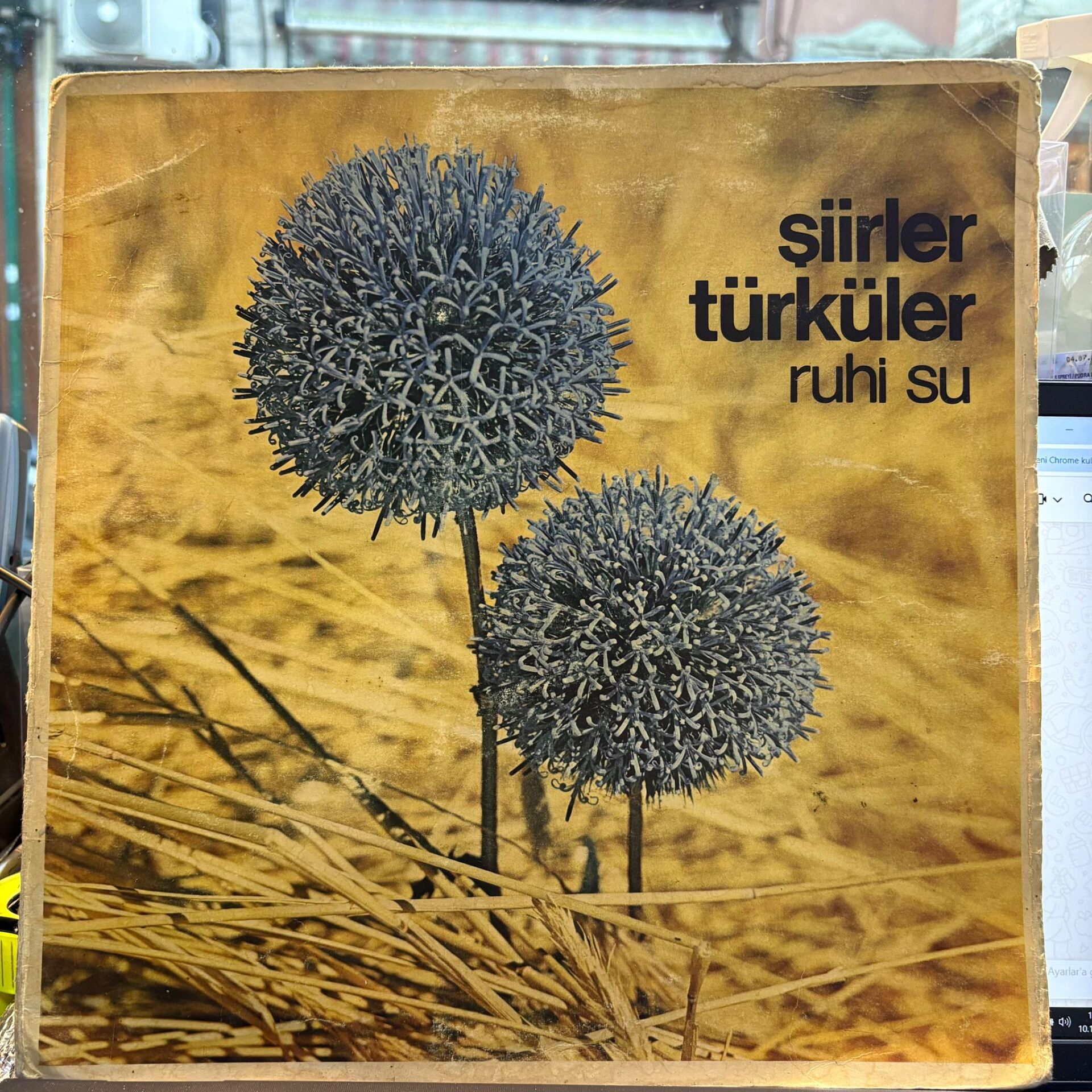 Ruhi Su – Şiirler - Türküler