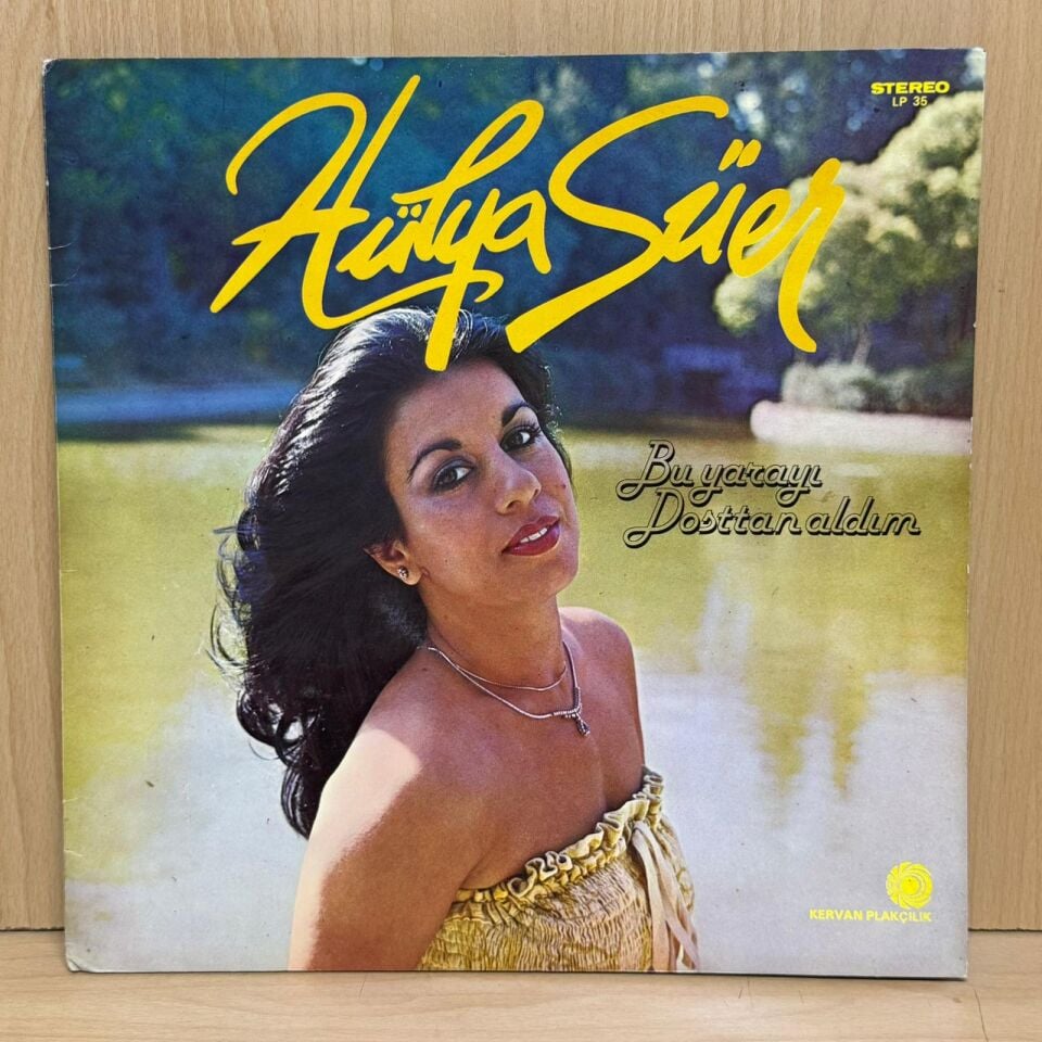 Hülya Süer – Bu Yarayı Dosttan Aldım
