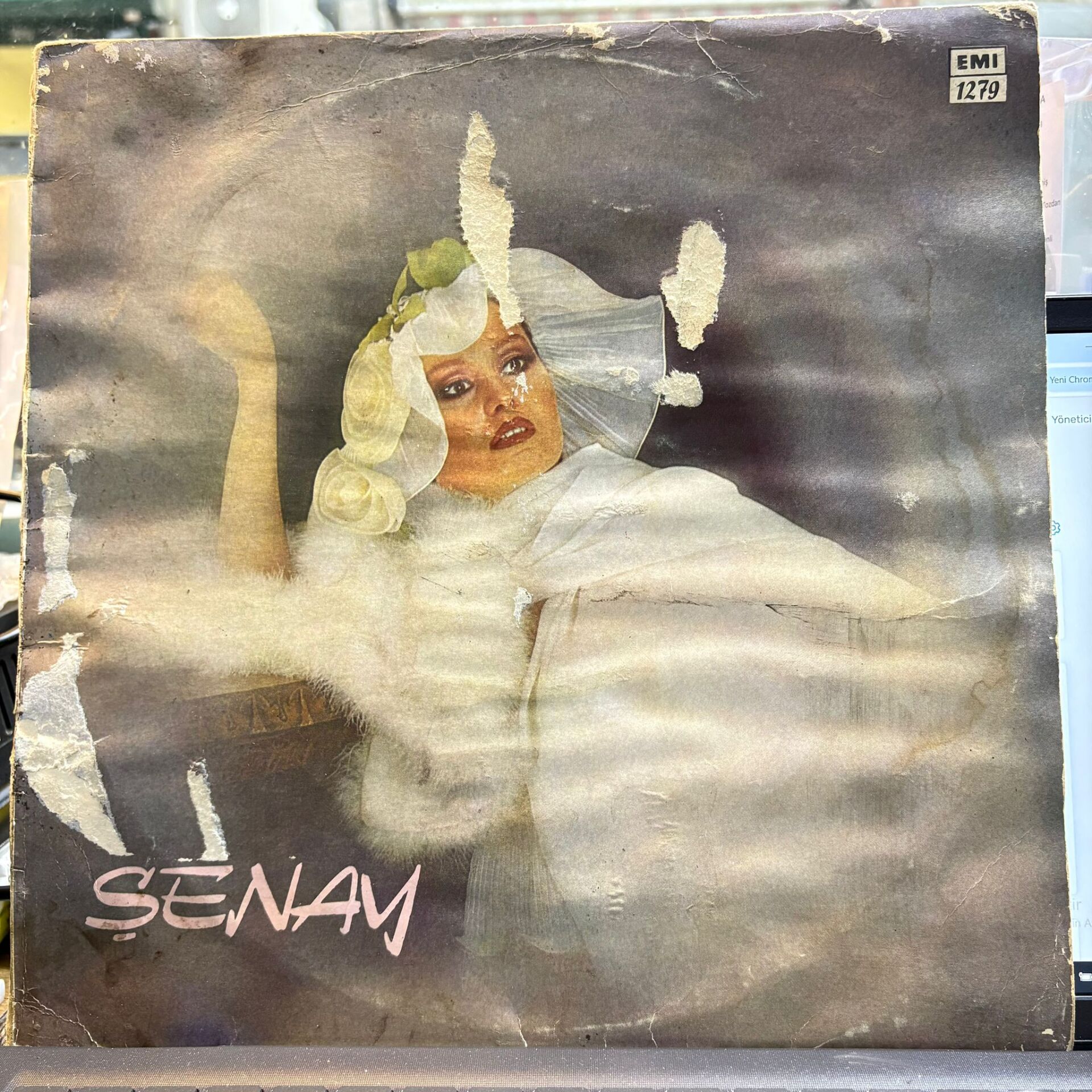 Şenay – Şenay