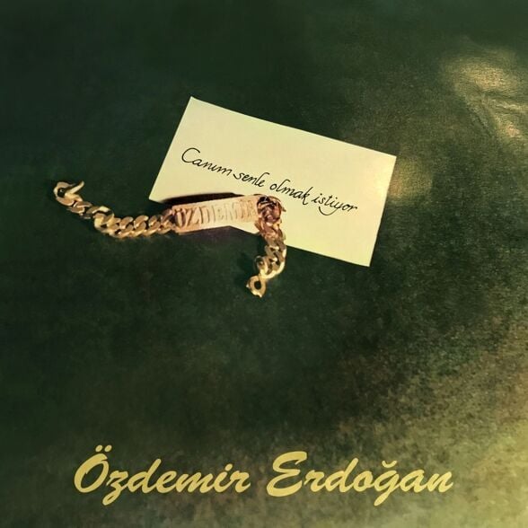 Özdemir Erdoğan - Canım Senle Olmak İstiyor Plak