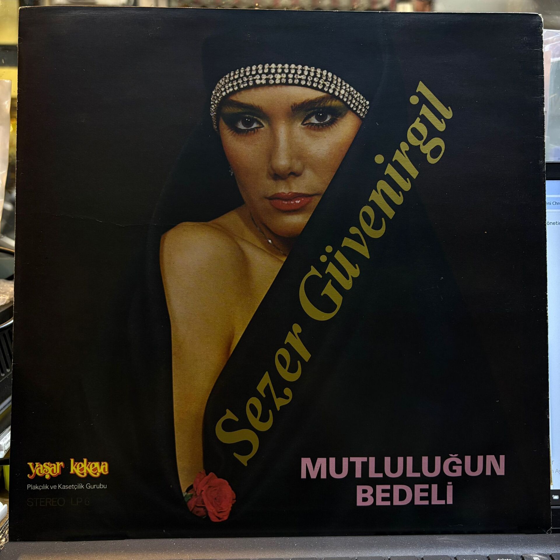Sezer Güvenirgil – Mutluluğun Bedeli
