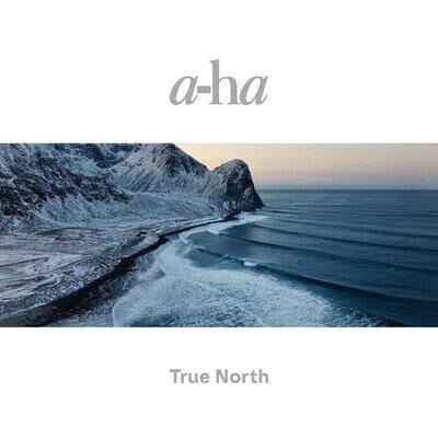 a-ha – True North 2'li Plak