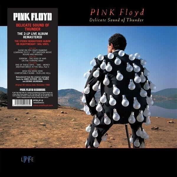 Pink Floyd - Delicate Sound Of Thunder 2'li Plak