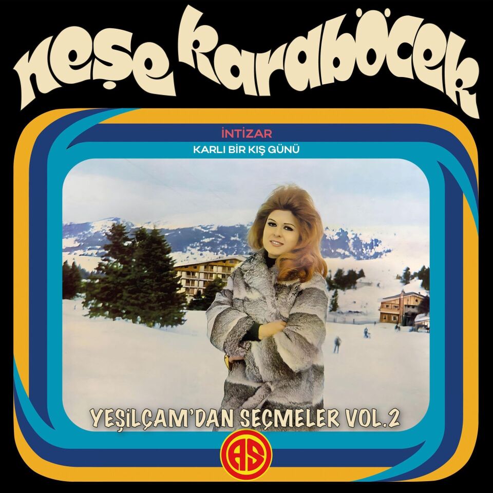 Neşe Karaböcek - Yeşilçamdan Seçmeler 2 Plak
